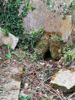 Premi aqui per a veure la imatge a grand�ria completa