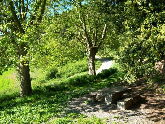 Premi aqui per a veure la imatge a grand�ria completa