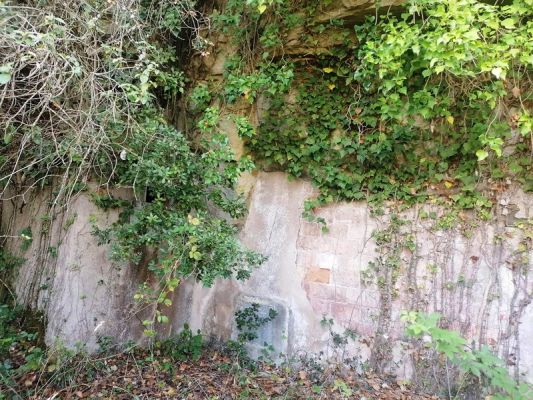 Premi aqui per a veure la imatge a grand�ria completa