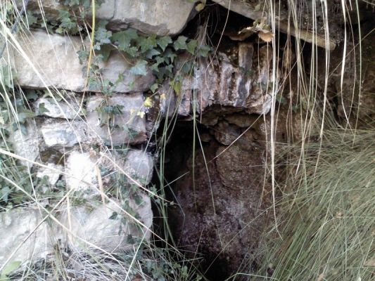 Premi aqui per a veure la imatge a grand�ria completa