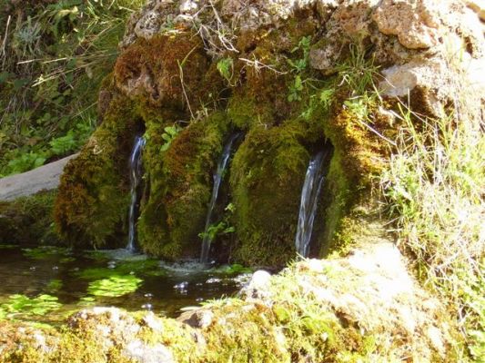 Premi aqui per a veure la imatge a grand�ria completa