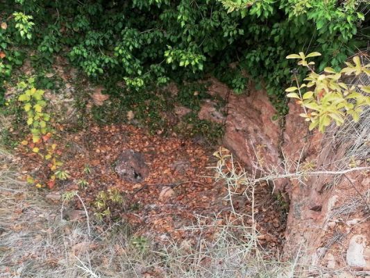 Premi aqui per a veure la imatge a grand�ria completa