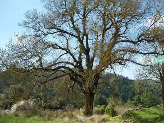 Premi aqui per a veure la imatge a grand�ria completa