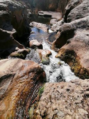 Premi aqui per a veure la imatge a grand�ria completa