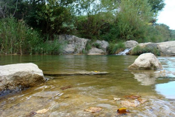 Premi aqui per a veure la imatge a grand�ria completa