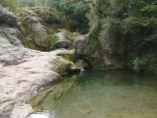 Premi aqui per a veure la imatge a grand�ria completa