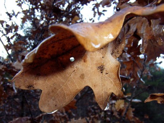 Premi aqui per a veure la imatge a grand�ria completa