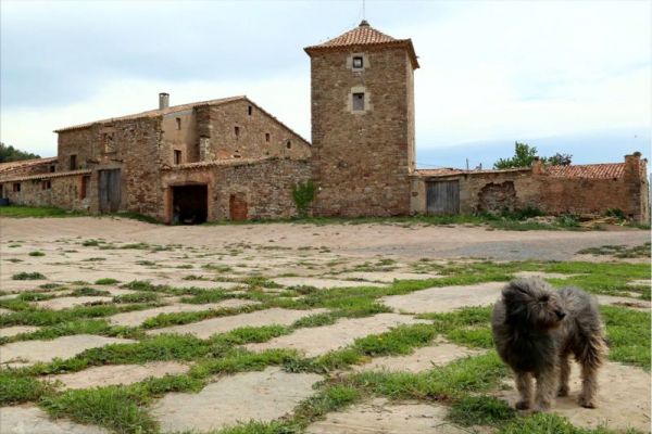 Premi aqui per a veure la imatge a grand�ria completa