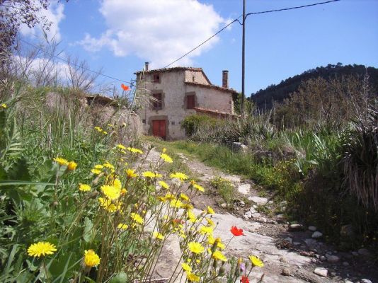 Premi aqui per a veure la imatge a grand�ria completa