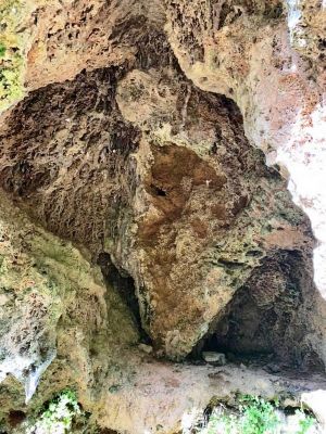 Premi aqui per a veure la imatge a grand�ria completa