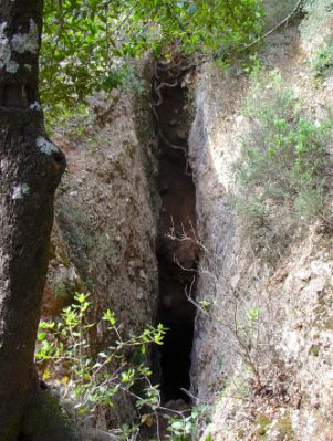 Premi aqui per a veure la imatge a grand�ria completa