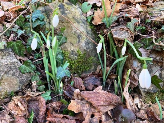 Premi aqui per a veure la imatge a grand�ria completa