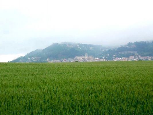 Premi aqui per a veure la imatge a grand�ria completa