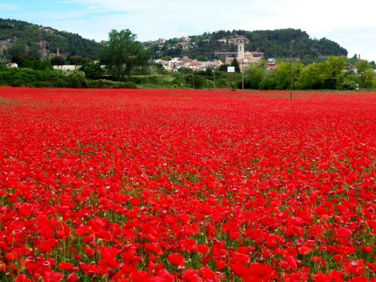 Premi aqui per a veure la imatge a grand�ria completa