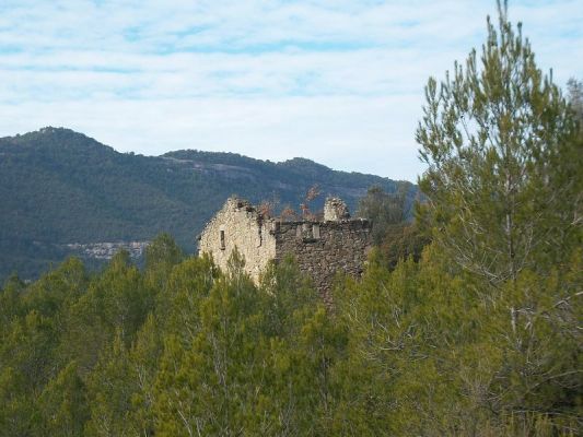 Premi aqui per a veure la imatge a grand�ria completa