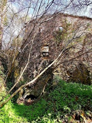 Premi aqui per a veure la imatge a grand�ria completa