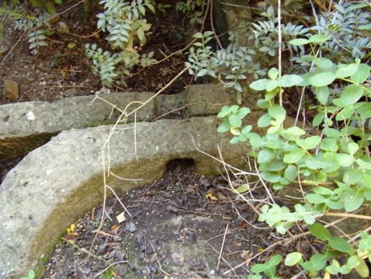 Premi aqui per a veure la imatge a grand�ria completa