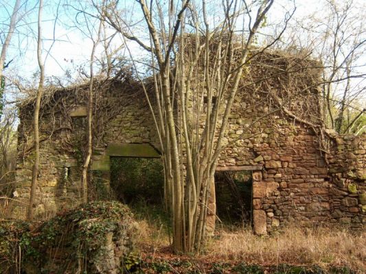 Premi aqui per a veure la imatge a grand�ria completa