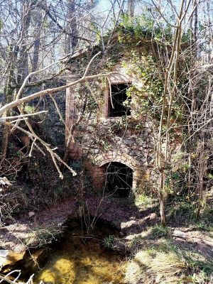 Premi aqui per a veure la imatge a grand�ria completa