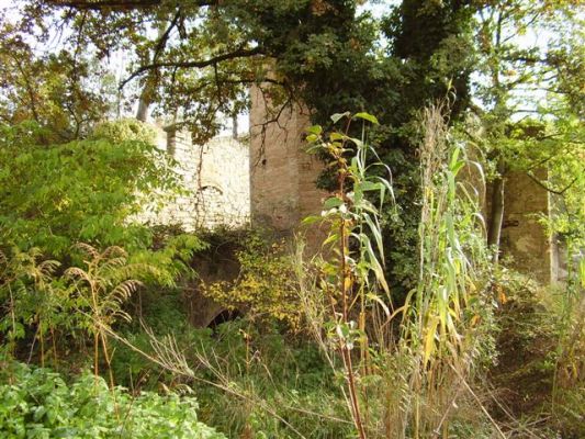 Premi aqui per a veure la imatge a grand�ria completa