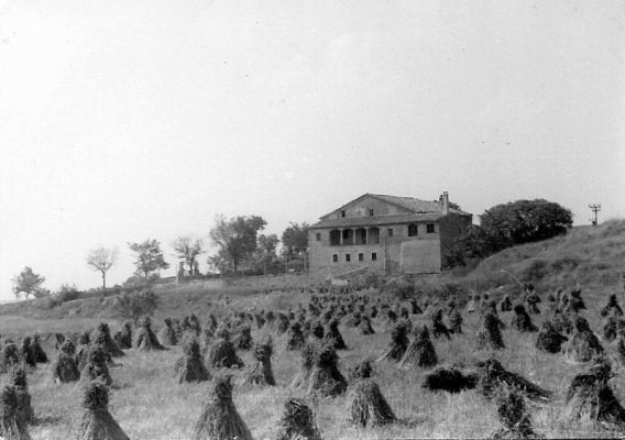 Premi aqui per a veure la imatge a grand�ria completa