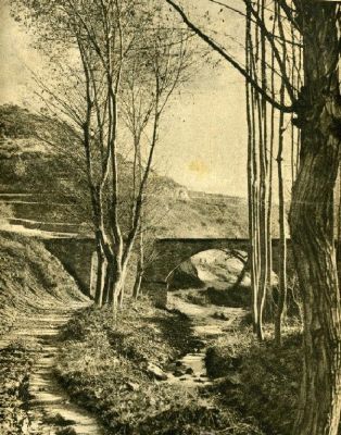 Premi aqui per a veure la imatge a grand�ria completa