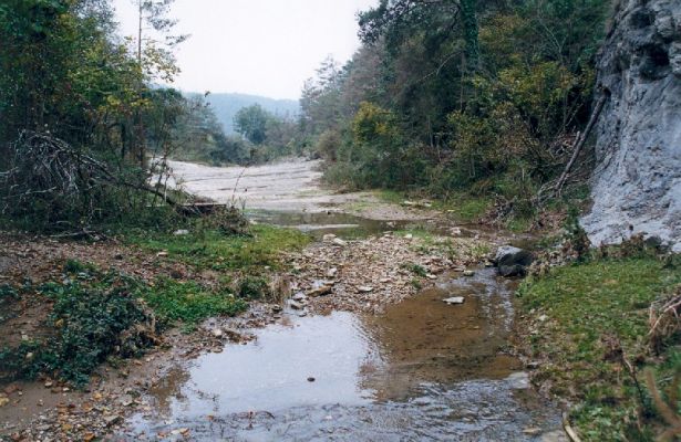 Premi aqui per a veure la imatge a grand�ria completa