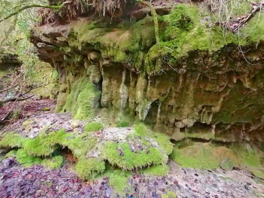 Premi aqui per a veure la imatge a grand�ria completa