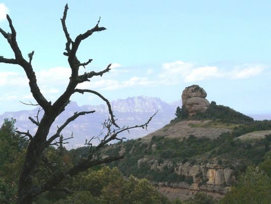 Premi aqui per a veure la imatge a grand�ria completa