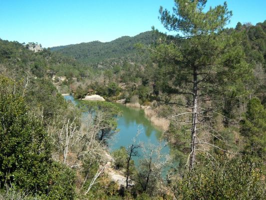 Premi aqui per a veure la imatge a grand�ria completa