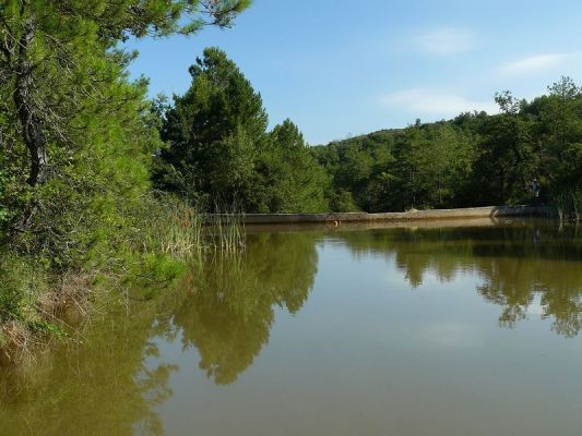 Premi aqui per a veure la imatge a grand�ria completa