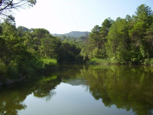 Premi aqui per a veure la imatge a grand�ria completa