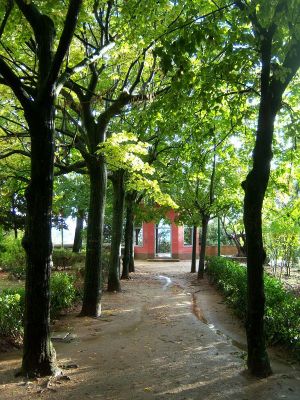 Premi aqui per a veure la imatge a grand�ria completa