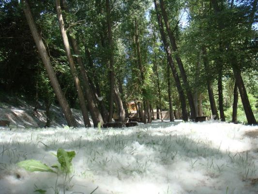 Premi aqui per a veure la imatge a grand�ria completa