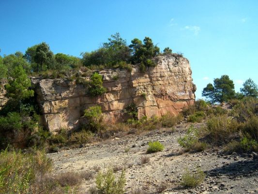 Premi aqui per a veure la imatge a grand�ria completa