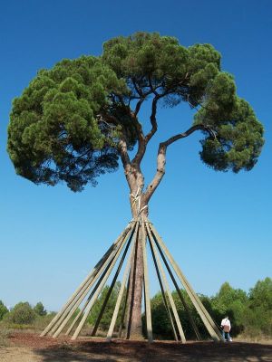 Premi aqui per a veure la imatge a grand�ria completa