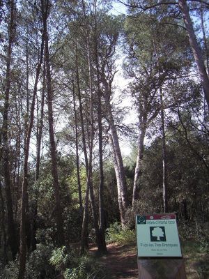 Premi aqui per a veure la imatge a grand�ria completa