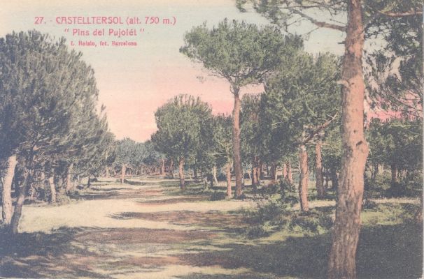 Premi aqui per a veure la imatge a grand�ria completa