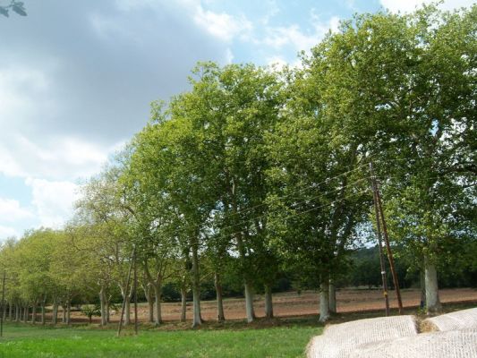 Premi aqui per a veure la imatge a grand�ria completa