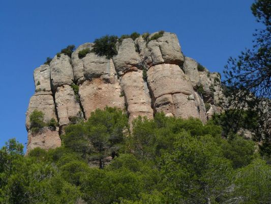 Premi aqui per a veure la imatge a grand�ria completa