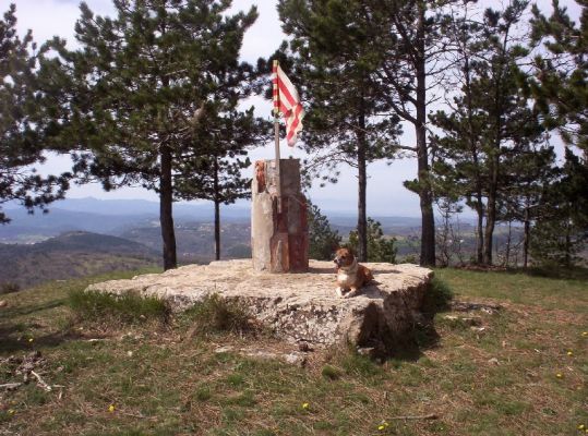 Premi aqui per a veure la imatge a grand�ria completa