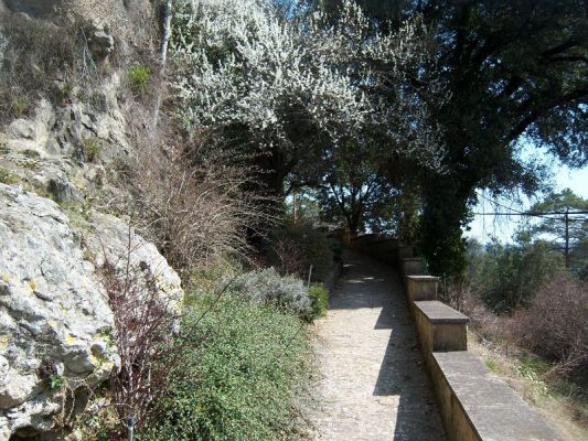 Premi aqui per a veure la imatge a grand�ria completa