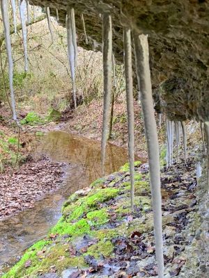 Premi aqui per a veure la imatge a grand�ria completa