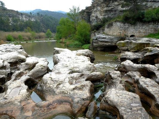 Premi aqui per a veure la imatge a grand�ria completa