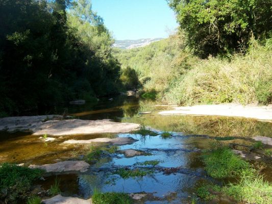 Premi aqui per a veure la imatge a grand�ria completa