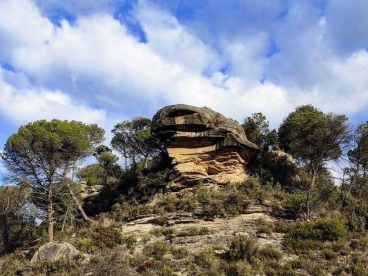 Premi aqui per a veure la imatge a grand�ria completa