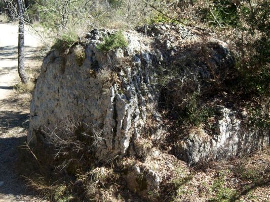 Premi aqui per a veure la imatge a grand�ria completa