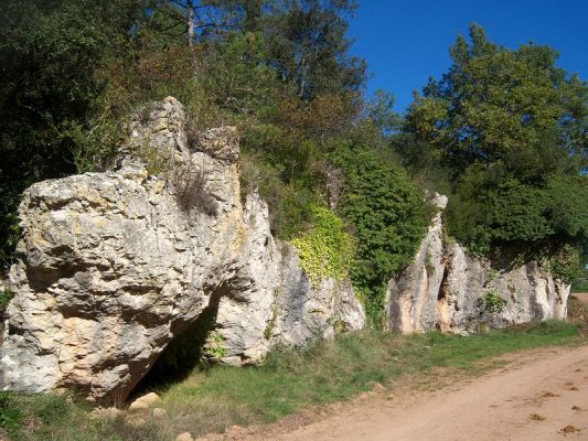 Premi aqui per a veure la imatge a grand�ria completa