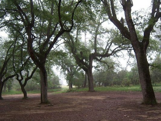 Premi aqui per a veure la imatge a grand�ria completa