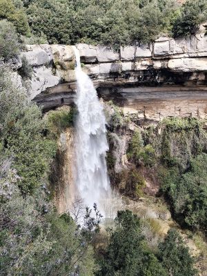 Premi aqui per a veure la imatge a grand�ria completa